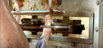 CORTAPATAS AUTOMATICO AHCS-2