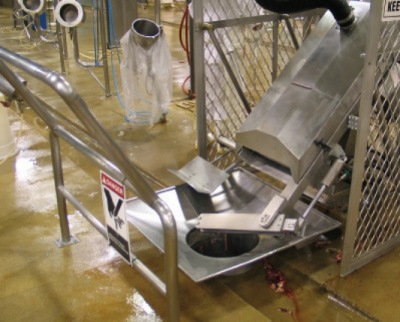 CAZADORA AUTOMATICA DE CABEZA AHD-1